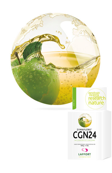 Picture of ZYMAFLORE CGN24 - 500G PACK